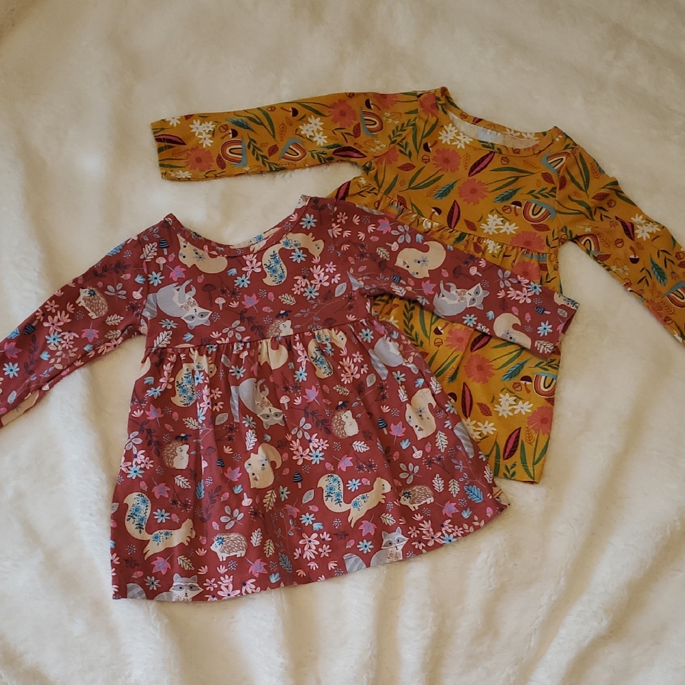 Wonder Nation Baby Long Sleeve Fall Dresses, Set Of 2, 12 Months